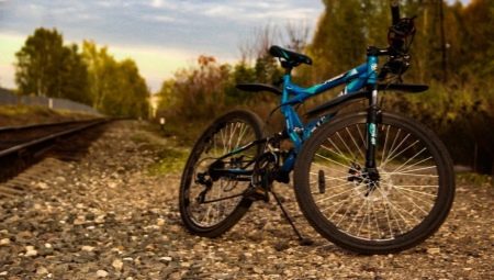 Stinger Bikes: Features, Top Models, and Tips for Choosing