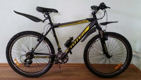 Totem bikes: models, selection tips