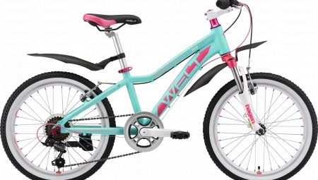 Welt Bikes: Model Features & Tips