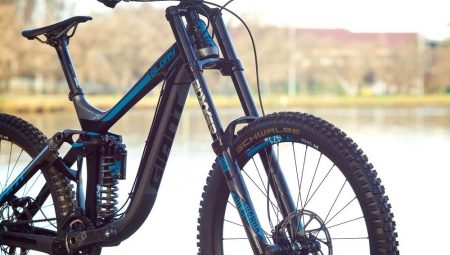 Bicycle forks: device, types, selection and installation tips