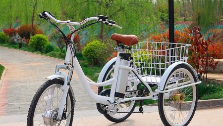 All About Cargo Bikes