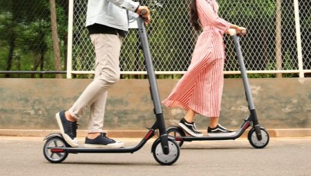All About Adult Electric Scooters