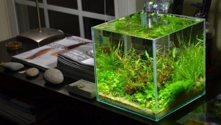 Aquarium cubes: features, sizes and design rules