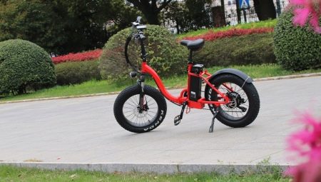 Children's electric bikes: varieties, brands, choice, rules of use