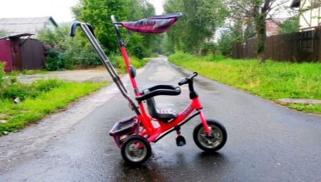 Lexus Trike kids bikes: pros, cons, and best models