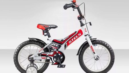Stels Kids' Bikes: Varieties and Tips for Choosing