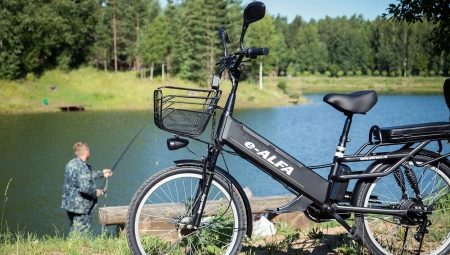 Electric bikes: varieties, brands, choice