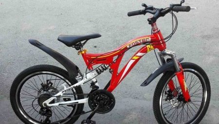 How to choose a children's speed bike?