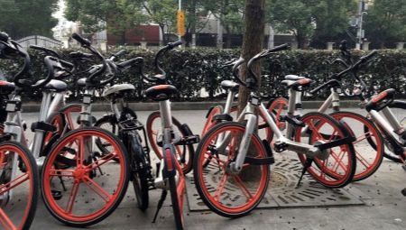 Chinese bicycles: brand overview