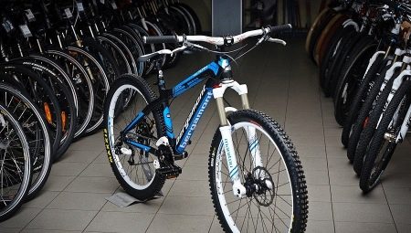 Light bikes: what are and how to choose?