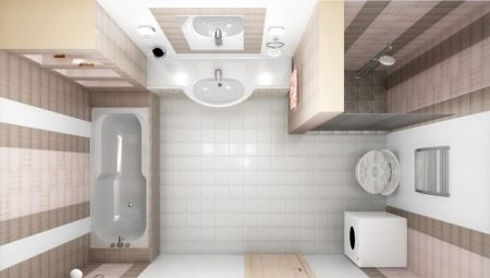 Disposició del bany