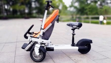 Scooters with a seat: varieties and features of choice