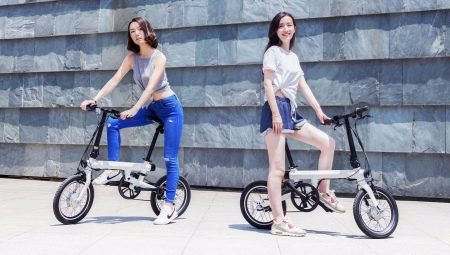 Folding Electric Bicycles for Adults