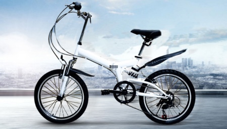20 inch bicycles: features, types and choices