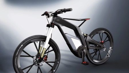 Audi bikes: pros and cons, types and overview of models