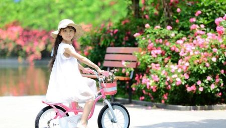 Bicycles for girls 6 years: a review of models and recommendations for choosing