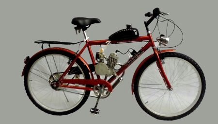 Bicycles with a motor: features and manufacturers