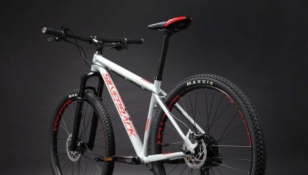 Silverback bicycles: pros and cons, varieties, choice