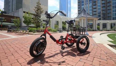 Adult tricycles: features, brands, choice, use
