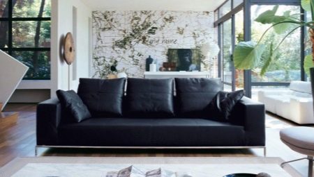 Black sofas: varieties and choices in the interior