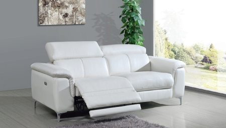 Recliner sofa: features, types and choices