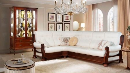 Sofas Avant-garde: features and assortment