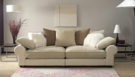 Sofas in the interior: how to choose and place?