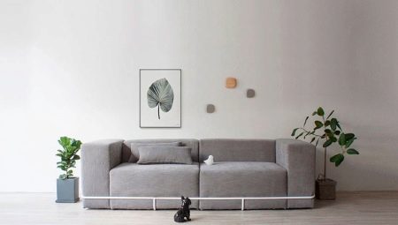 Minimalist sofas