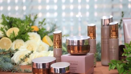 Cosmetics Artistry: composition and description of the range