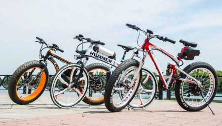 The best electric bikes: manufacturer ratings and secrets of choice