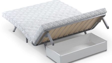 Mattresses for an accordion sofa: what are and how to replace?
