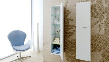 Bathroom case: types, sizes and choices