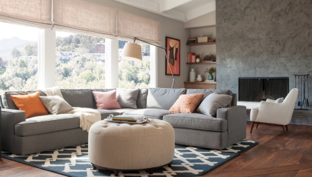 Gray sofas in the interior