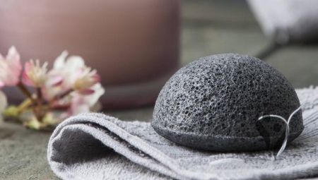 Sponge for a horse: what is it intended for and how to use it?