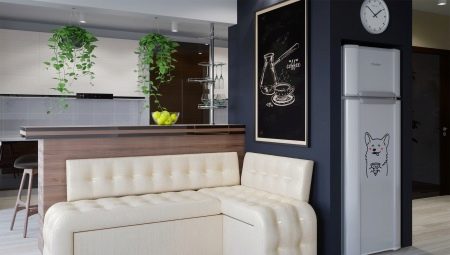 Narrow sofas: types and secrets of choice