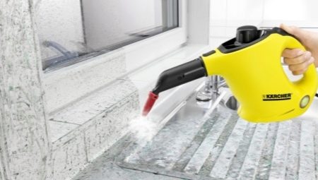 Karcher steam cleaners: an overview of popular models and selection tips
