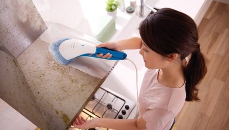 Rating of the best steam generators