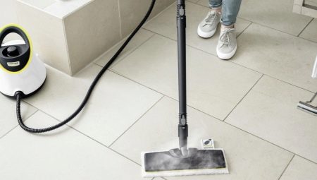 Steam cleaners: characterization, application and selection