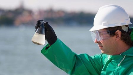 Ecologist: who is this and what does it do?