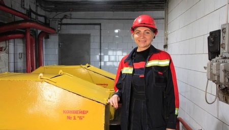 Semua tentang pemandu penghantar kerjaya