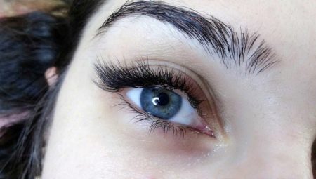 All About L Curved Eyelashes