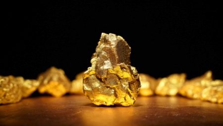 Tot sobre les pepetes d'or