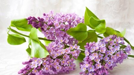 We make lilac from foamiran