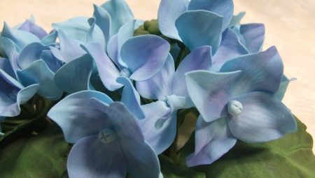 Hvordan man fremstiller hortensia fra foamiran?