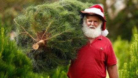Semua Mengenai Malam Tahun Baru Australia