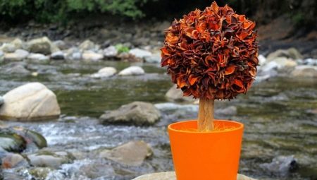 All about autumn topiary