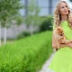 Light green dress - an image with notes of spring freshness