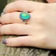 Chameleon ring