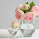 What to do so that roses stand in a vase for a long time?
