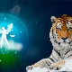 Male Libra Tiger: Feature and Compatibility